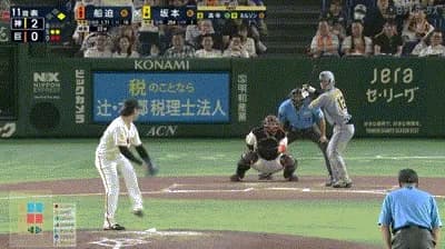 【巨人対阪神16回戦】阪神・坂本誠志郎、巨人・船迫から第２号２ランホームラン！リードを４点に広げる！！！！！！！！！！！！！！！！！！
