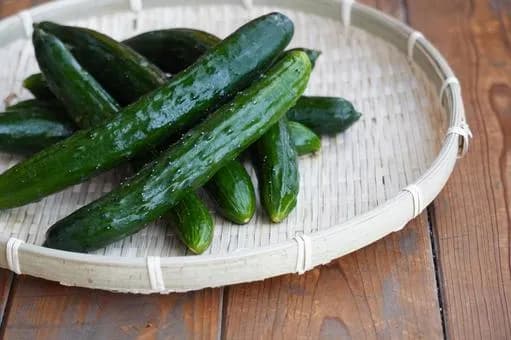 【悲報】ワイ氏、1日キュウリ3本がノルマｗｗｗｗｗｗｗｗｗｗｗｗｗｗｗｗ