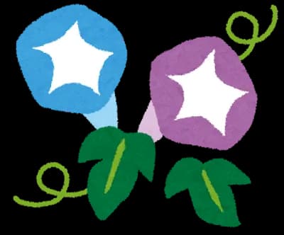 34歳のおっさんやけどアサガオ生えてきたで