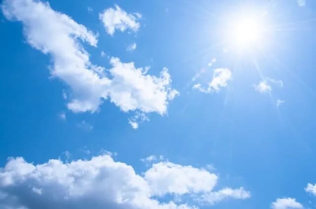 夏になったら見るべき邦画