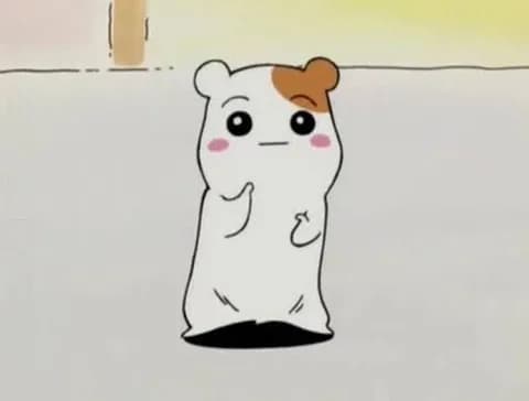 ガキの頃好きだったアニメが「ターちゃん」「きんぎょ注意報」「パプワくん」なんやが