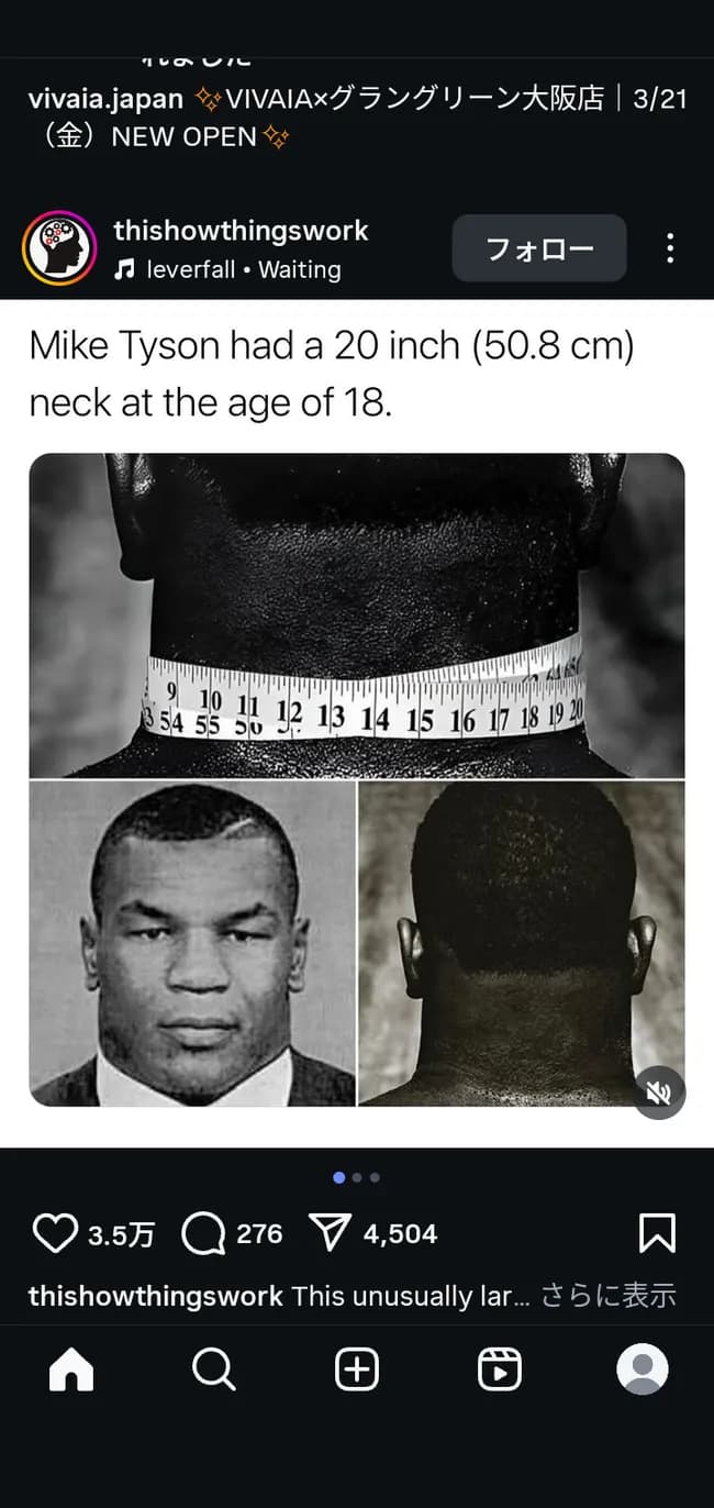【画像】マイク・タイソンの首の太さｗｗｗｗｗｗｗｗｗ