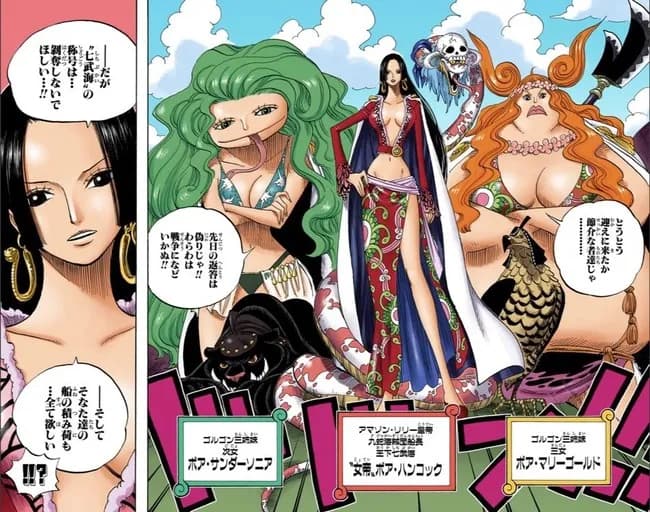 ワンピースの尾田栄一郎さん「世界ーの美女はこれでいくか」