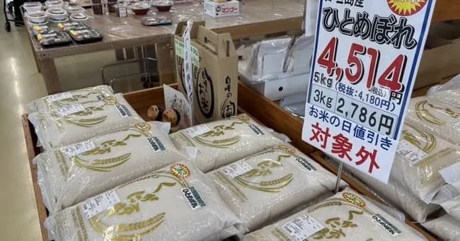 2025年産新米、3500円前後で店頭に並ぶ見込み。九州など月内に出荷。24年産より2割程度安く