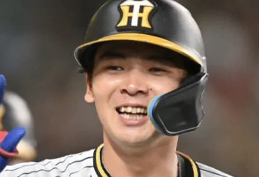 井上広大(神) .308 8本 OPS.824 三振率.259 ← これマジでどうなん？