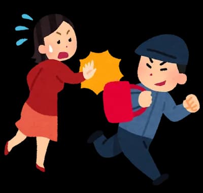 【画像】明らかに合成っぽいひったくり犯が見つかる