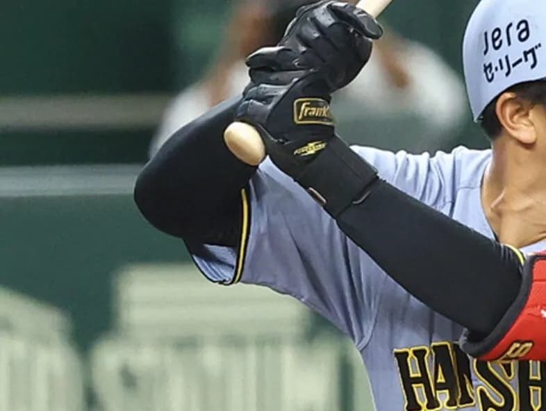 昨日の阪神タイガース打線の成績、なんか物足りないwwwwwwwwwwww