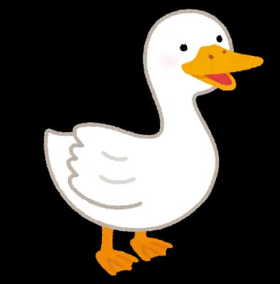 ワイのアヒル見て