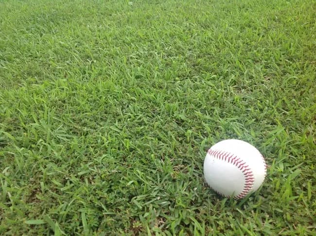 野球部って理不尽な暴力も我慢せなあかんのやろ？そら競技人口減るわ