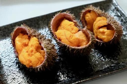 【急募】食べた瞬間感動した食べ物って何？ｗｗｗｗｗｗｗｗｗｗｗｗｗｗｗｗ