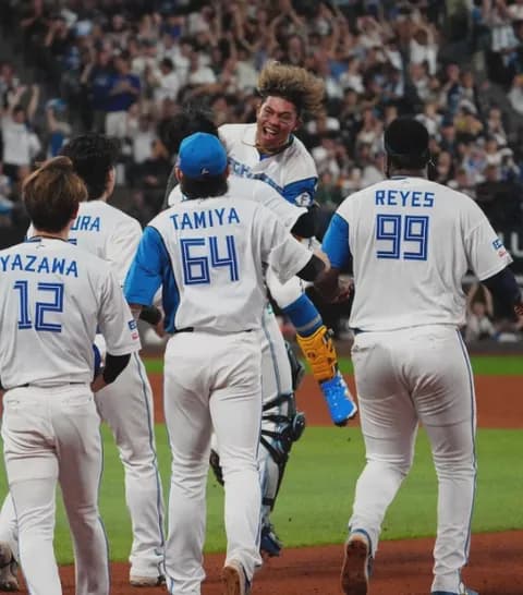 水谷が決めた!!　日本ハムがサヨナラ勝ちで連敗4でストップ　「テンション上がり過ぎて…」