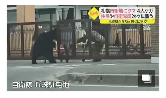 【画像】自衛隊、ヒグマに門をこじ開けられ基地侵入されるｗｗｗｗｗｗｗｗ