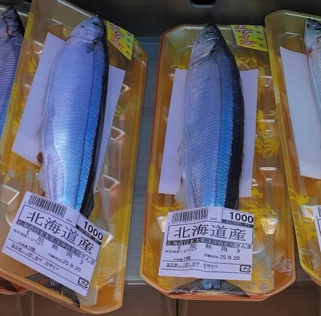 【鬼報】サンマ、一匹1000円の超高級魚へｗｗｗｗｗｗｗｗ
