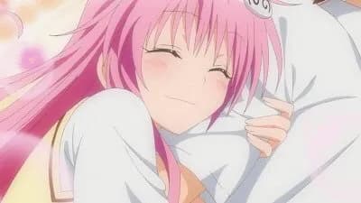 To LOVEるヒロイン、なんだかんだララが一番ということに落ち着く