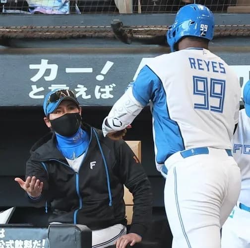 日本ハムがソフトバンクに2連勝！マジック点灯阻止で1.5ゲーム差 レイエス自己最多26、27号ソロ 清宮幸2打席連続適時打