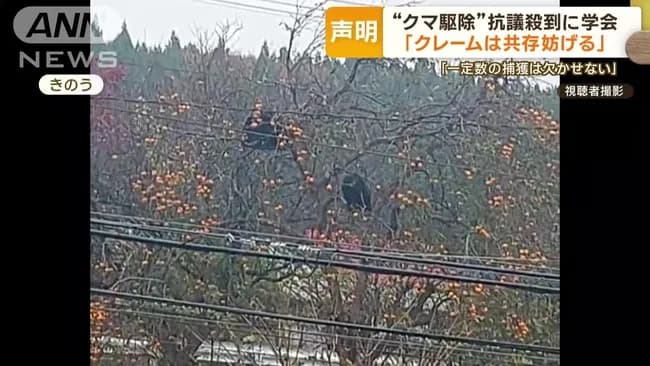 ハンター協会支部長「熊狩なんてのは趣味でやってるようなもの。駆除してもパート程の金しか出ない」