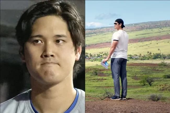 【悲報】大谷のハワイの別荘、ダメそう