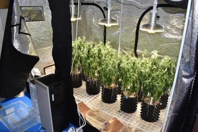 【朗報】「大麻のような臭いがする」近隣住民の通報でお手柄逮捕