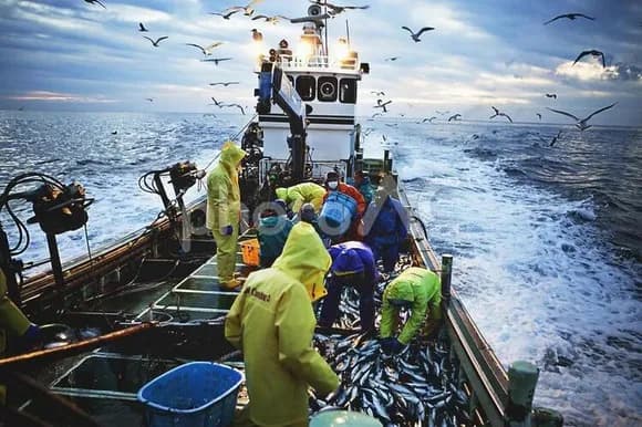 【画像】日本で魚が取れなくなってきたらどうするの？ｗｗｗｗｗｗｗｗｗｗｗｗｗｗｗｗ