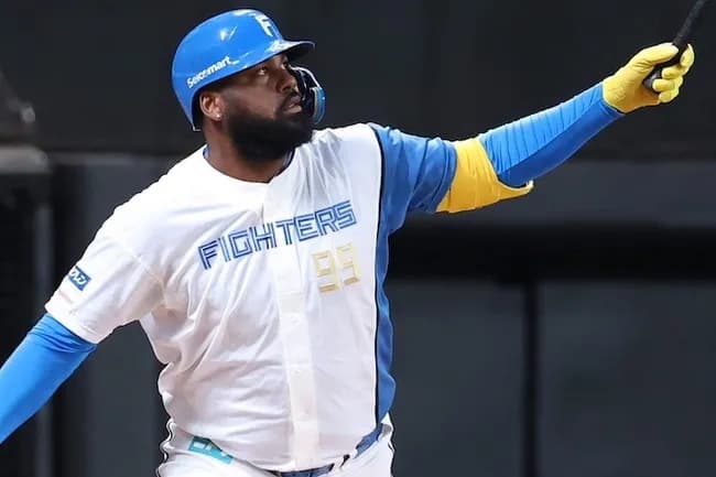 日ハムレイエス（本塁打王）の球場別本塁打数