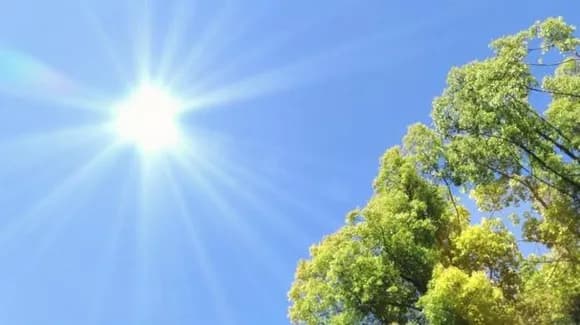 【疑問】結局日本がこんなに暑い理由って分かってないの？ｗｗｗｗｗｗｗｗｗｗｗｗｗｗｗｗ