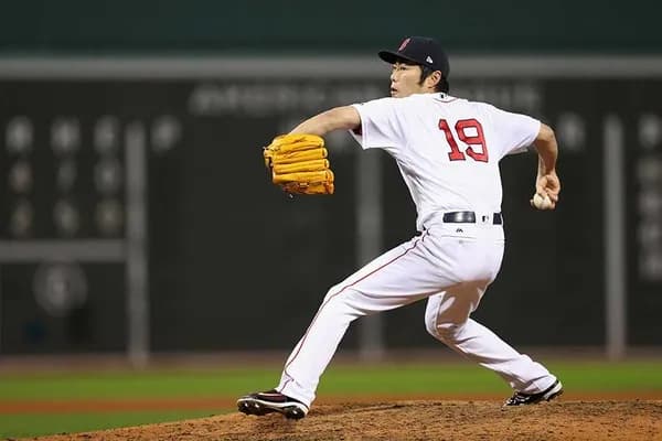 上原浩治（沢村賞2回、WS胴上げ投手、100-100-100、流行語大賞、ご意見番、金の盾）