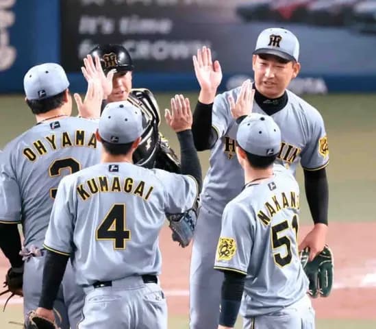 阪神・岩崎　２年ぶりの３０セーブ「勝てたんでよかったです」ブルペンデー７人リレー締めた１回０封
