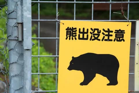 【悲報】許可のないハンターさん、ヒグマを駆除してしまい法律違反へ