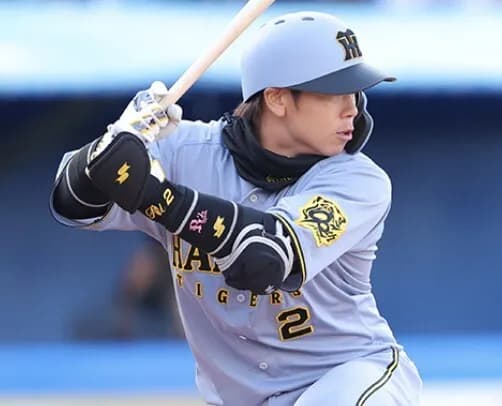 岡田彰布『梅野は相手の裏をかく配球を考えている』←これ