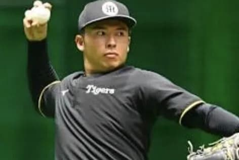 椎葉剛(23)二軍成績 防御率2.30 47回 被打率.213　←　あたりじゃね？