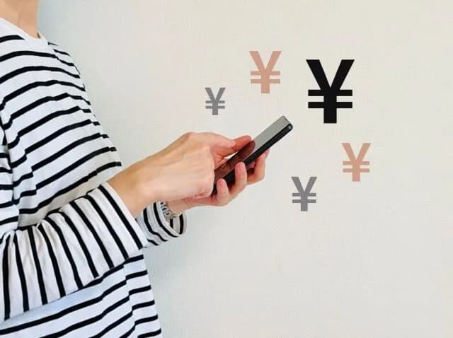 年収800万のワイのお小遣いwwww