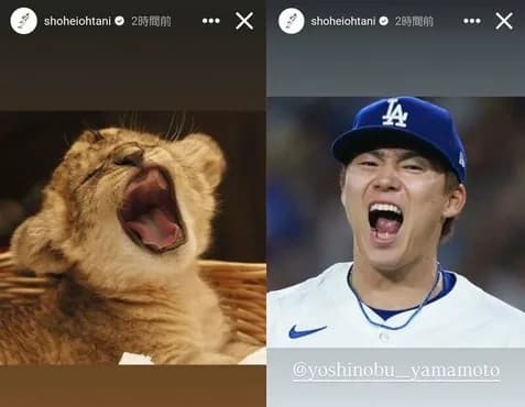 山本由伸6回途中無失点