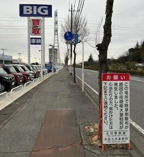 【画像】ビッグモーターの思い出
