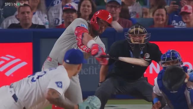 カイル・シュワーバー（32）Av.241 53HR 129打点 10盗塁 OPS.926←率直な感想