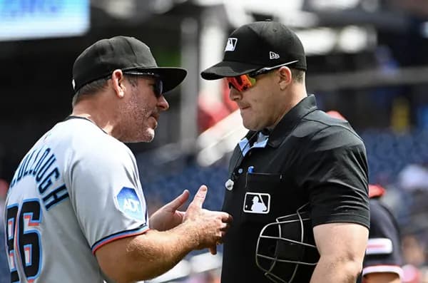 ロボット審判導入されたらキャッチャーの後ろに立ってる謎のふくよかなおじさん要らなくない？