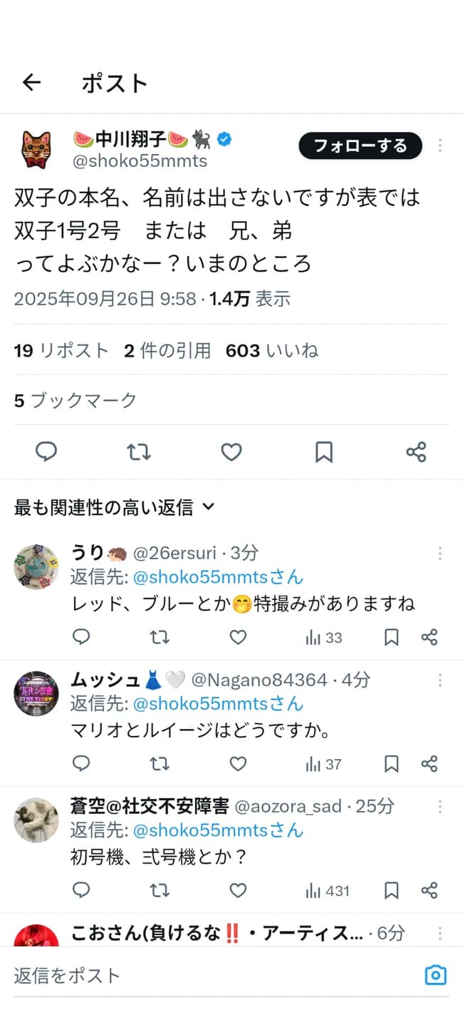 中川翔子「双子の呼び名募集します」