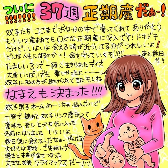 中川翔子「双子の名前決まった！！！」