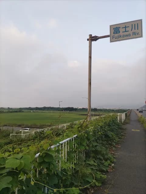 【徒歩ニキ】東京駅からしまね海洋館アクアスまで歩く【4日目】~静岡駅ホテル着さわやかで食事〜