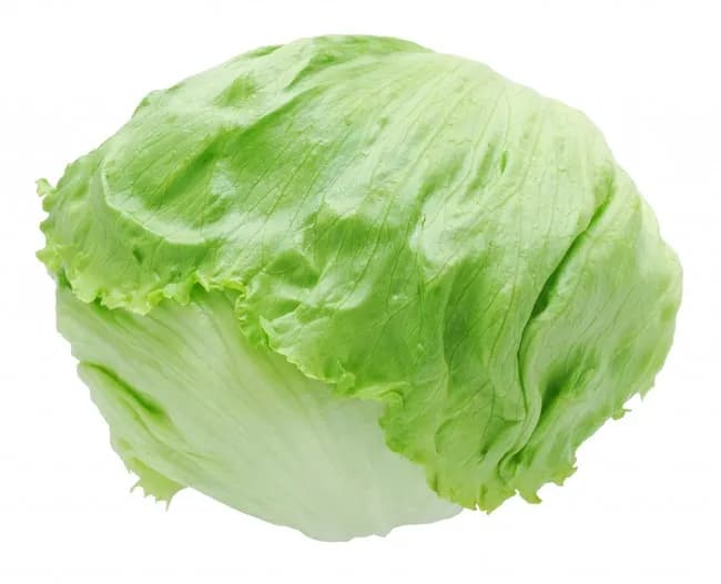 レタスとかいう添えるくらいでしか活躍の機会がないキャベツの下位互換