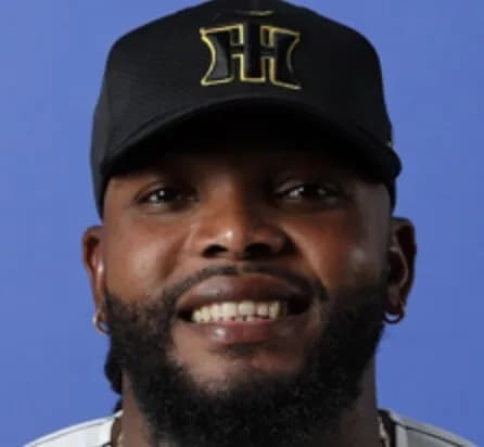 来年→ドリス(38)西勇輝(36)岩崎岩貞梅野(35)島本糸原(34)坂本(33)