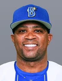 DeNAビシエド選手は左半腱様筋肉離れと診断