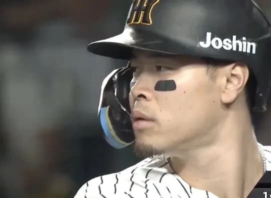 サトテル40号wwwwwwwwwwwwwwwwwwwwww