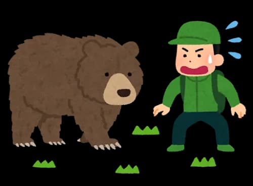 クマかわいいから殺さないで欲しいんやが
