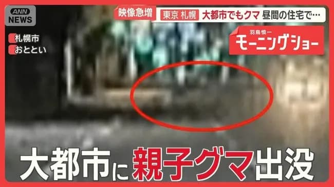 東京、札幌…大都市にクマ「フェーズが変わった」　市街地で「血だらけの女性が」