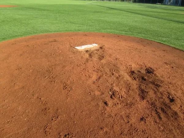 野球の観客動員数、色んな国で歴代最多を更新してしまう