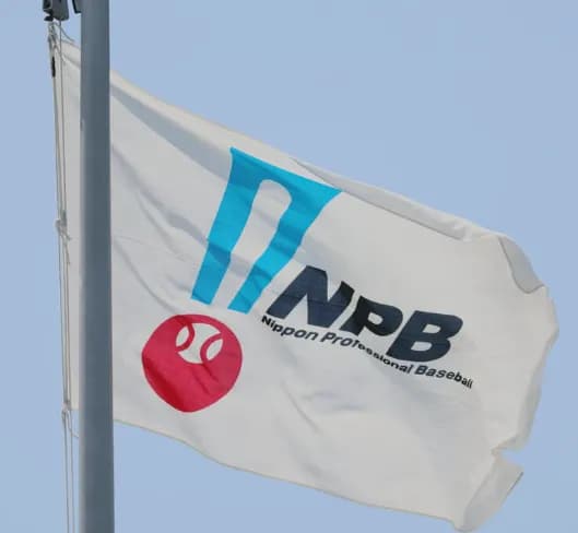 リクエスト要請のリプレー検証　来季から1カ所で全試合を判定　「リプレーセンター」を設置、審判員2人が常駐し映像を検証