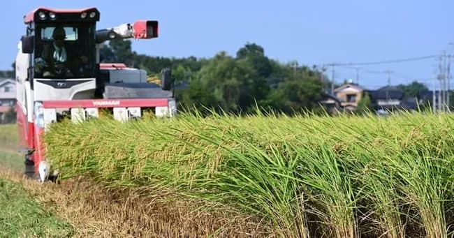 【朗報】進次郎、このタイミングでコメの生産量が10％増えた事を発表