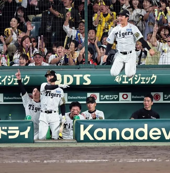 阪神　マジ！？異次元のジャンプ力を見せた若虎　代わって入った小野寺のタイムリーに喜び爆発　タイガースの雰囲気を象徴するシーン