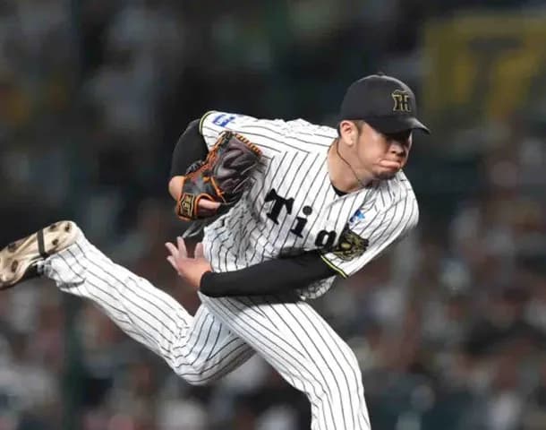 阪神・岩貞が3球三振のスーパーリリーフ 石上を全球スライダーのボール球でバットに空を切らせる