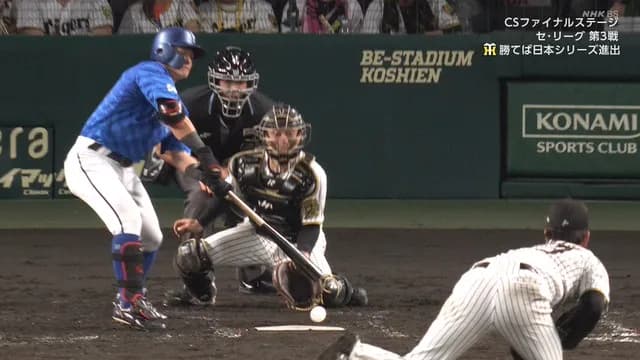 カットマン林、空振り三振後に謎のファールアピールｗｗｗｗｗｗ